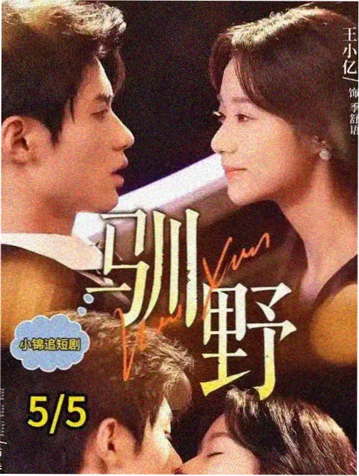 日剧厨房里的第七年剧集封面图